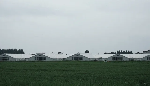 短视频内容审核机制如何推动用户增长